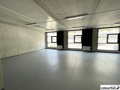 Gewerbeobjekt mieten in 1220 Wien (Bild 3)