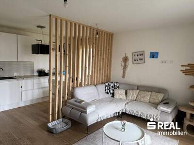 Terrassenwohnung kaufen in 4053 Haid (Bild 2)