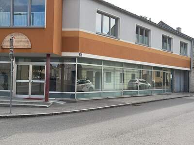 Gewerbeobjekt mieten in 3150 Wilhelmsburg (Bild 1)