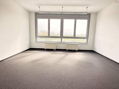Gewerbeobjekt mieten in 2320 Schwechat (Bild 2)