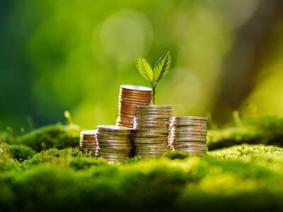 Anlageobjekt kaufen in 4020 Linz (Bild 2)