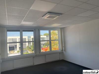 Gewerbeobjekt mieten in 2320 Schwechat (Bild 4)