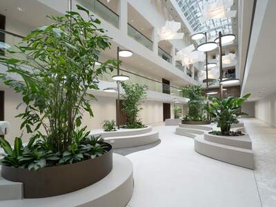 Gewerbeobjekt mieten in 1010 Wien (Bild 4)