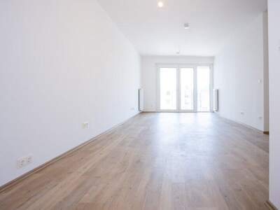 Terrassenwohnung kaufen in 2700 Wr. Neustadt (Bild 4)