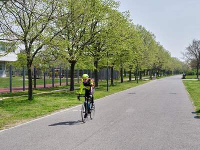 Eigentumswohnung in 1220 Wien (Bild 3)