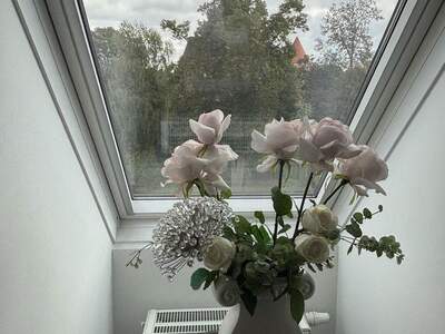 Terrassenwohnung mieten in 3860 Heidenreichstein (Bild 5)