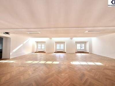 Gewerbeobjekt mieten in 1010 Wien (Bild 1)