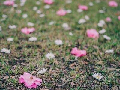 Grundstück kaufen in 8700 Leoben (Bild 5)