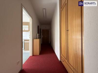 Terrassenwohnung kaufen in 8042 Graz (Bild 4)