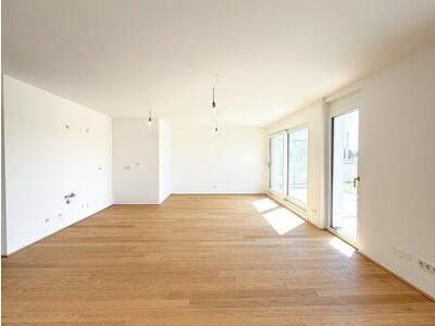 Terrassenwohnung kaufen in 1210 Wien (Bild 3)