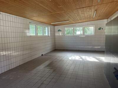 Gewerbeobjekt mieten in 4407 Stadlkirchen (Bild 5)