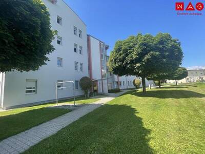 Terrassenwohnung mieten in 8750 Judenburg (Bild 3)