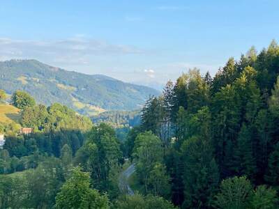 Grundstück kaufen in 4204 Reichenau