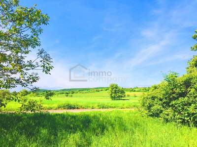 Grundstück kaufen in 7091 Breitenbrunn