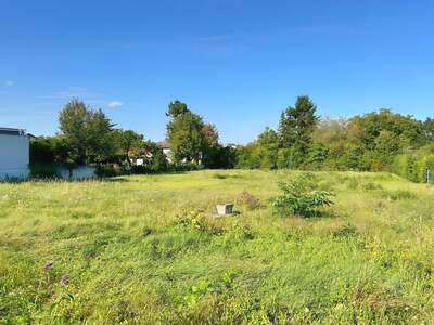 Grundstück kaufen in 3424 Wolfpassing (Bild 2)