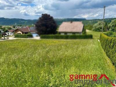 Grundstück kaufen in 9162 Dornach