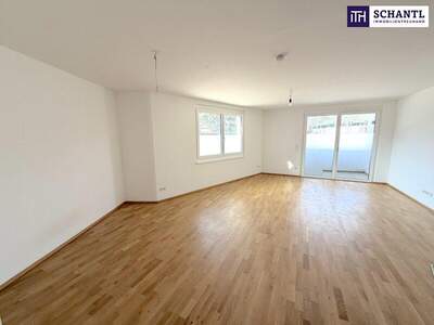 Terrassenwohnung kaufen in 1220 Wien (Bild 4)