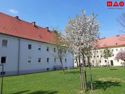 Wohnung mieten in 4400 Steyr (Bild 1)