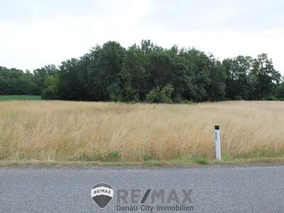 Grundstück kaufen in 2011 Sierndorf (Bild 2)