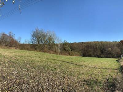 Grundstück kaufen in 8380 Jennersdorf (Bild 3)