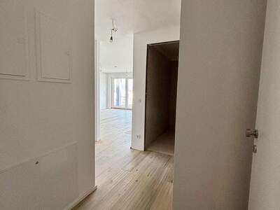 Terrassenwohnung mieten in 1190 Wien (Bild 5)