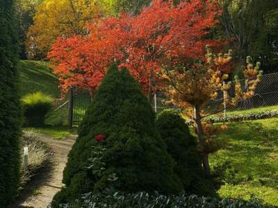 Haus mit Garten kaufen (Bild 5)