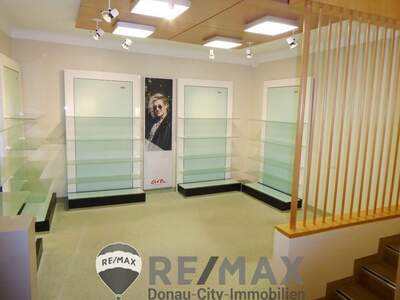 Gewerbeobjekt mieten in 2340 Mödling (Bild 2)