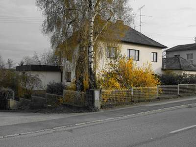 Haus mit Garten kaufen in 4622 Eggendorf (Bild 1)