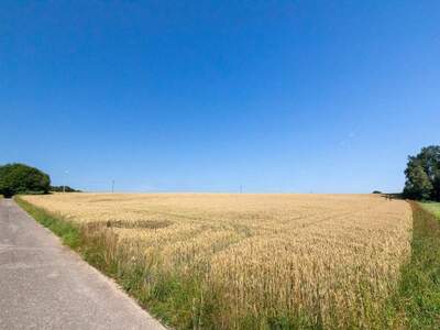 Gewerbeobjekt kaufen in 4880 Walsberg