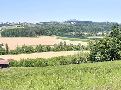 Grundstück kaufen in 8181 Sankt Ruprecht