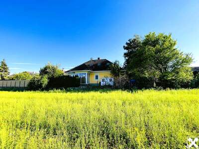 Haus kaufen in 2751 Steinabrückl (Bild 2)
