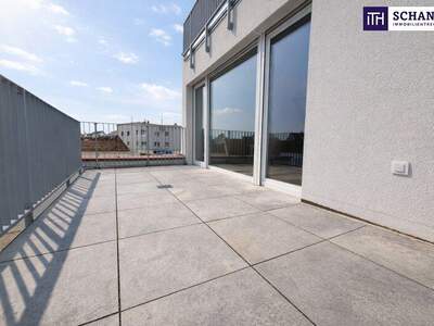 Terrassenwohnung kaufen in 2514 Traiskirchen (Bild 3)