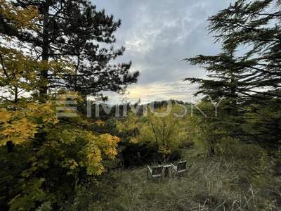 Grundstück kaufen in 2103 Langenzersdorf