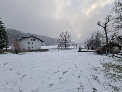 Grundstück provisionsfrei kaufen in 6252 Breitenbach