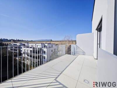 Terrassenwohnung kaufen in 1230 Wien (Bild 1)