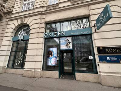 Gewerbeobjekt mieten in 1010 Wien (Bild 1)