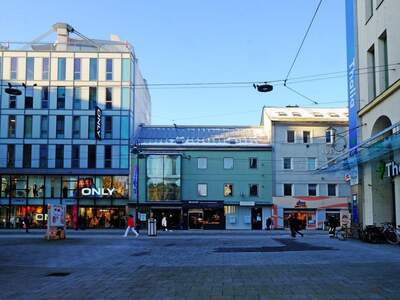 Anlageobjekt kaufen in 4020 Linz (Bild 1)