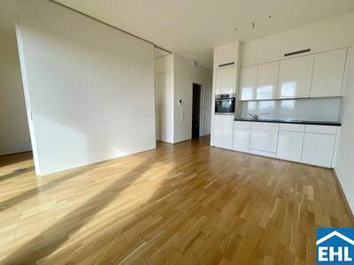 Terrassenwohnung mieten in 1030 Wien (Bild 2)