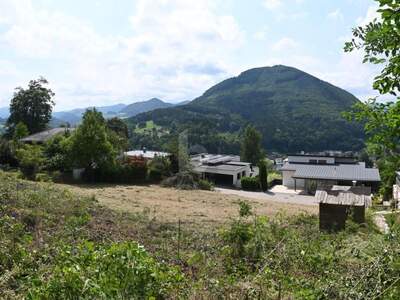 Grundstück kaufen in 3340 Waidhofen