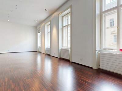 Gewerbeobjekt mieten in 1010 Wien (Bild 4)