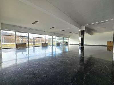 Gewerbeobjekt mieten in 4800 Attnang (Bild 5)