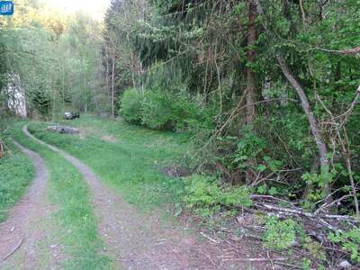 Grundstück kaufen in 4121 Altenfelden (Bild 4)