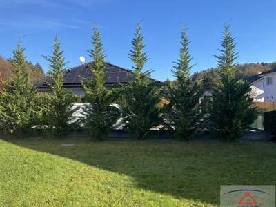 Haus kaufen in 8330 8330