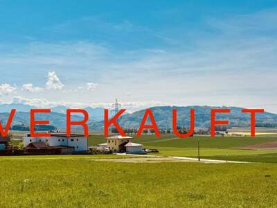Anlageobjekt kaufen in 4694 Ohlsdorf