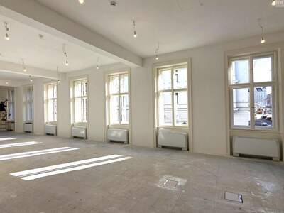 Gewerbeobjekt mieten in 1010 Wien (Bild 3)