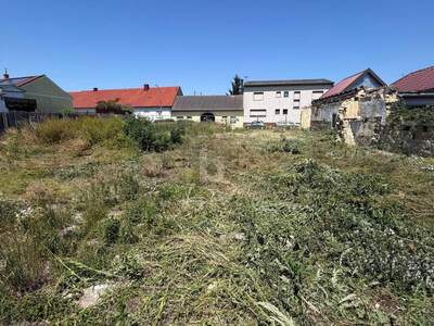 Grundstück kaufen in 2462 Wilfleinsdorf