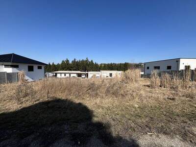 Grundstück kaufen in 4322 Forndorf