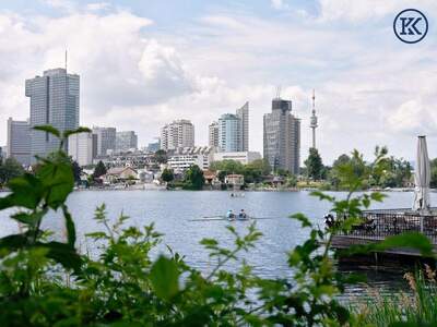 Haus kaufen in 1220 Wien