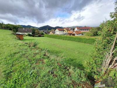 Grundstück kaufen in 8662 Mitterdorf (Bild 4)