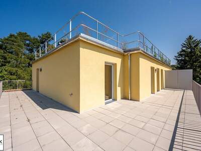 Wohnung mieten in 3040 Neulengbach